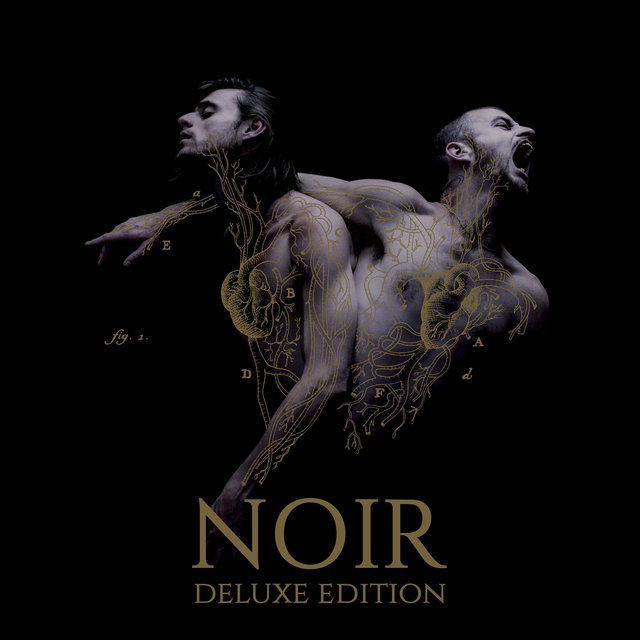 Couverture de Noir (Deluxe Edition)