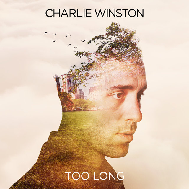 Couverture de Too Long - Single