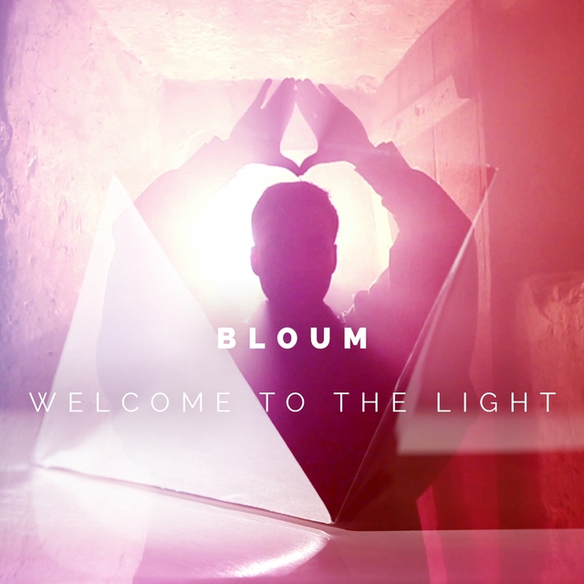 Couverture de Welcome to the Light - Single