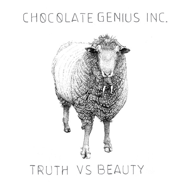 Couverture de Truth vs. Beauty