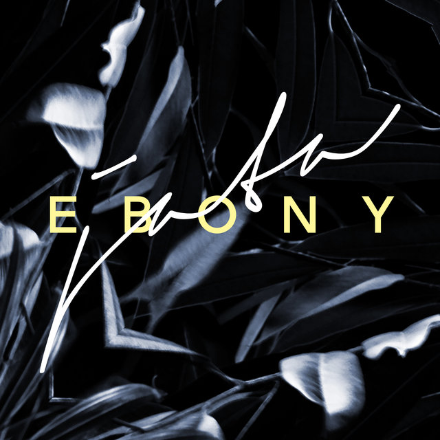 Couverture de Ebony