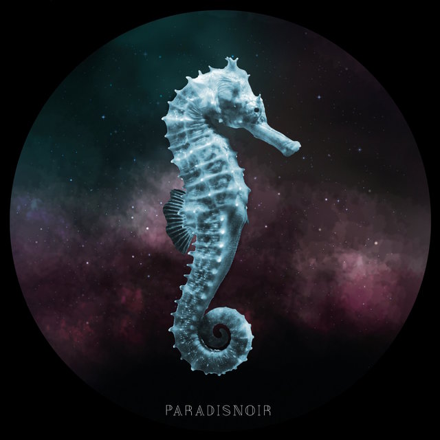 Paradisnoir - EP