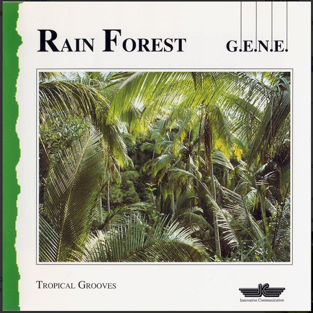 Couverture de Rain Forest