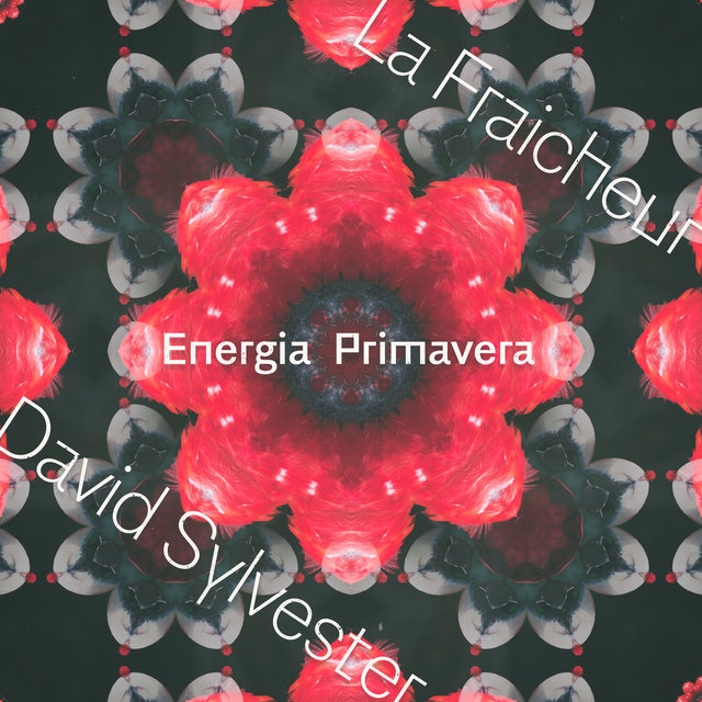 Couverture de Energia Primavera