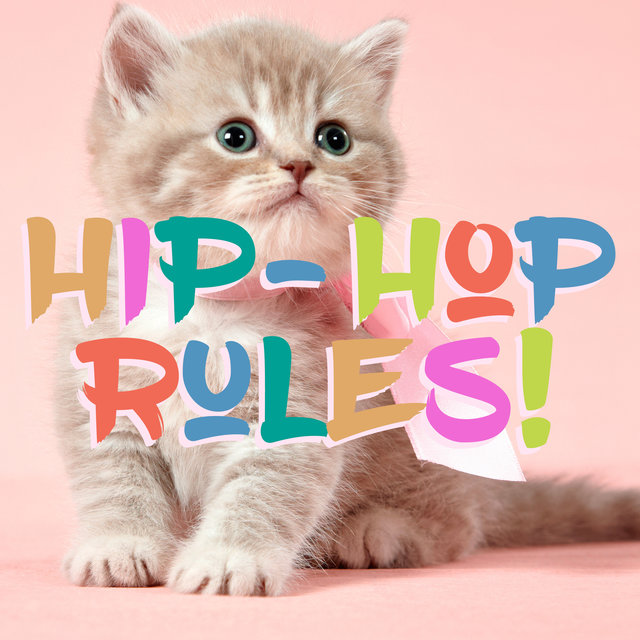 Couverture de Hip Hop Rules!