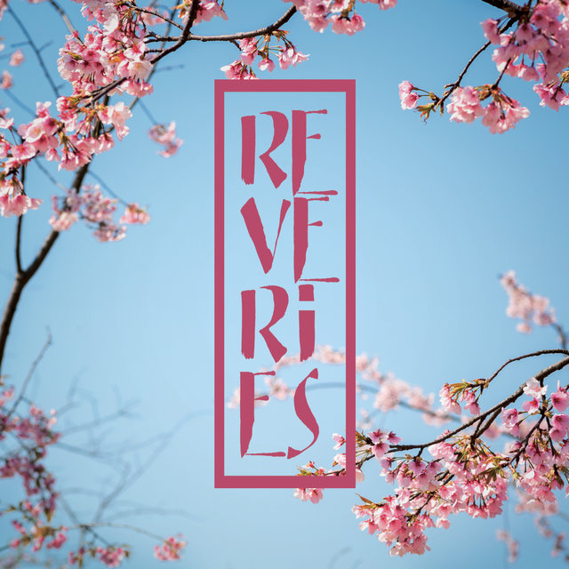 Couverture de Rêveries