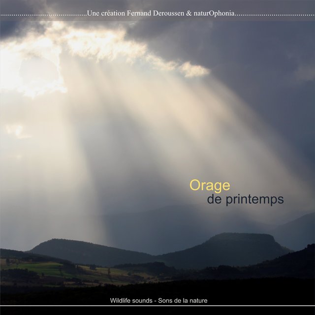 Couverture de Orage de printemps