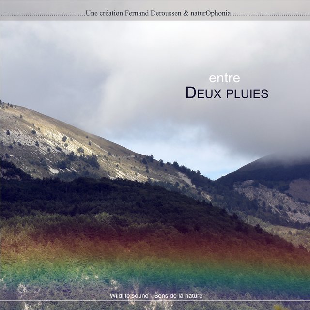 Couverture de Entre deux pluies