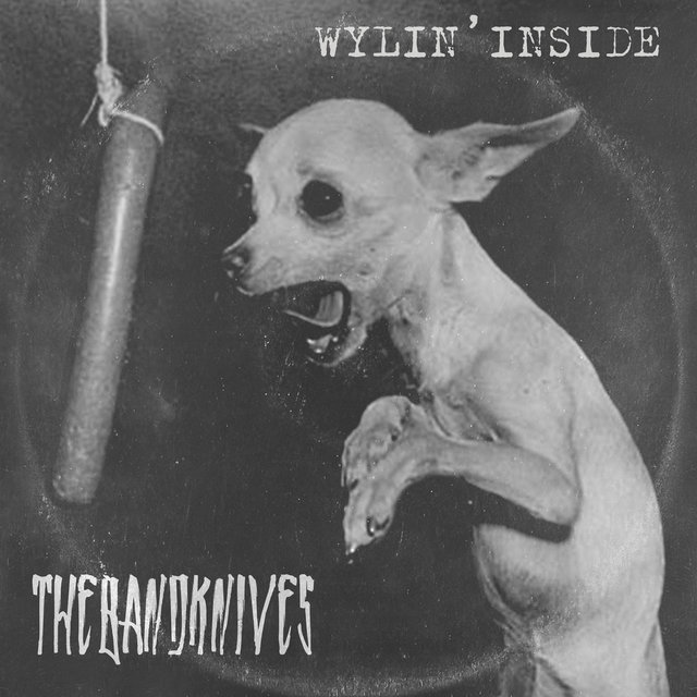 Couverture de Wylin' Inside