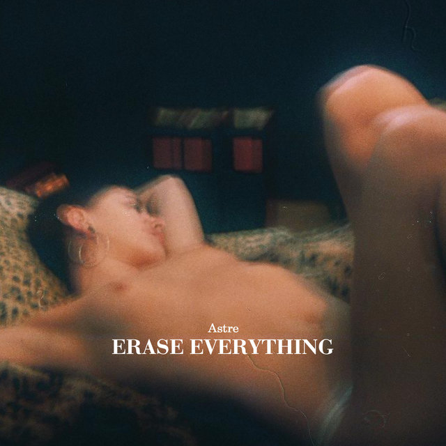 Couverture de Erase Everything