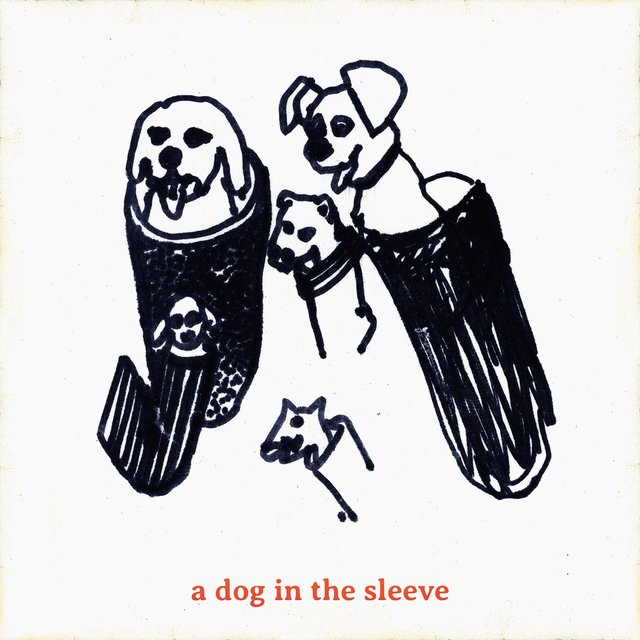 Couverture de A Dog in the Sleeve