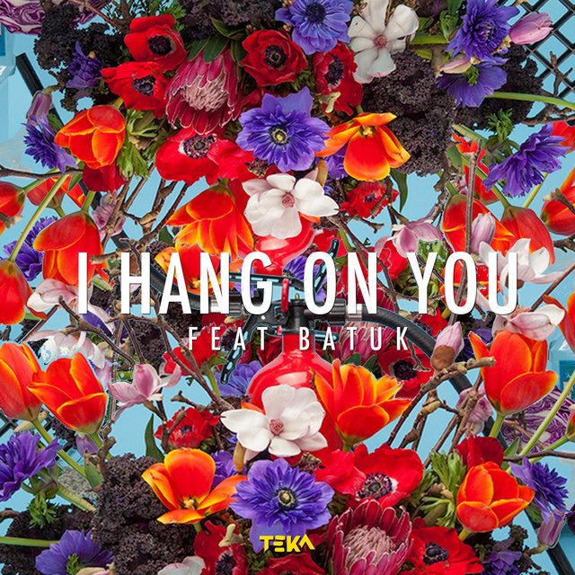 Couverture de I Hang on You