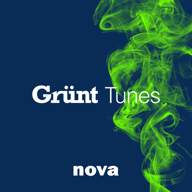 Couverture de Grünt Tunes