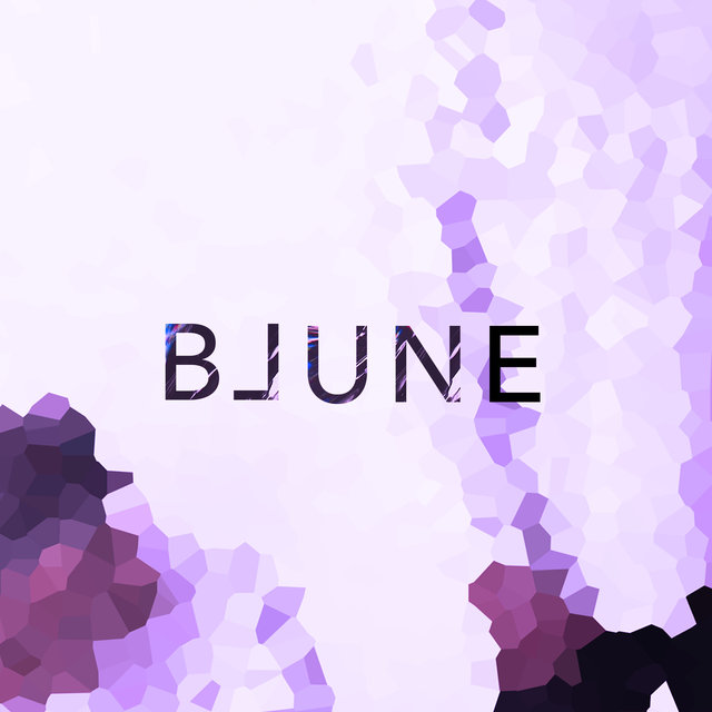 Couverture de B⅃UNE