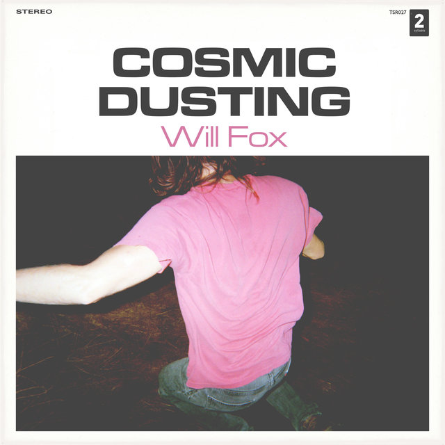 Couverture de Cosmic Dusting