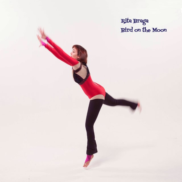 Couverture de Bird on the Moon