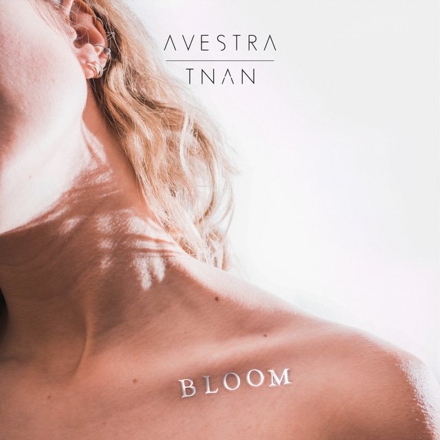 Couverture de Bloom