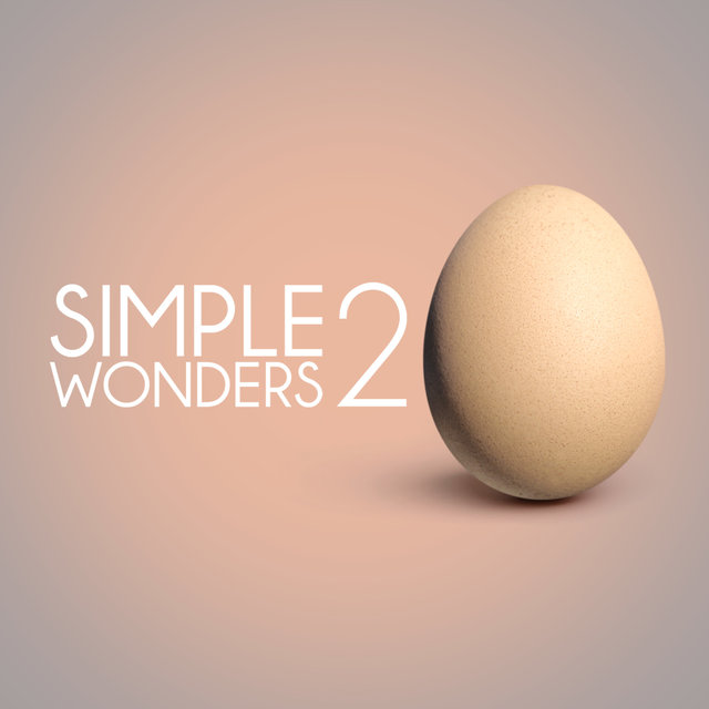 Couverture de Simple Wonders 2