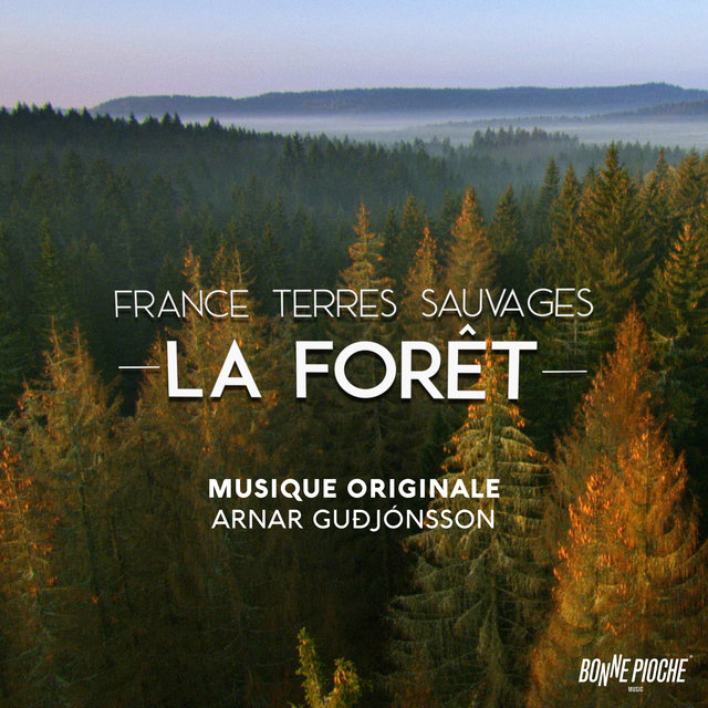 France terres sauvages: La forêt (Bande originale du film)