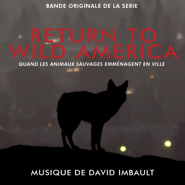 Couverture de Return to Wild America, quand les animaux sauvages emménagent en ville (Bande originale de la série)