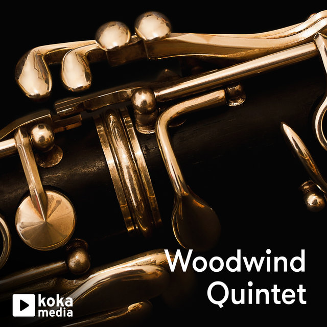 Couverture de Woodwind Quintet