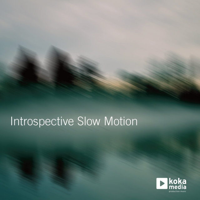 Couverture de Introspective Slow Motion