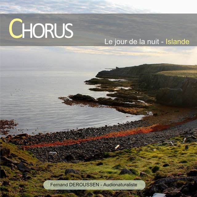 Couverture de Chorus : Le jour de la nuit (Islande)