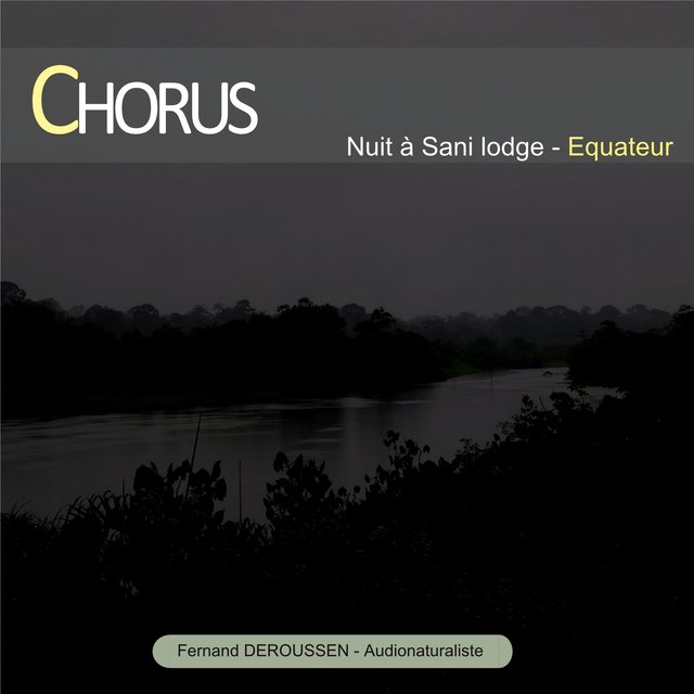 Chorus : Nuit à Sani Lodge (Equateur)