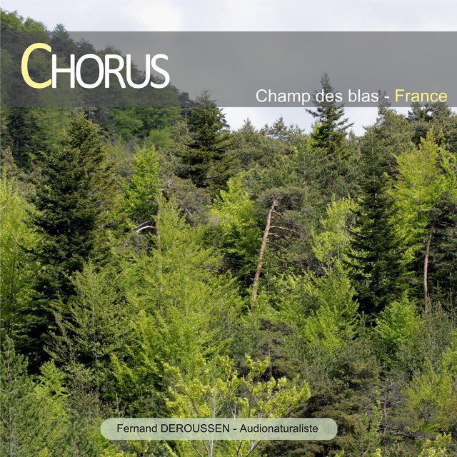 Couverture de Chorus : Champ des blas (France)