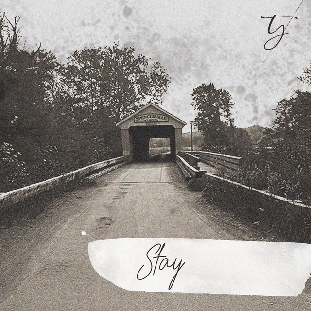 Couverture de Stay