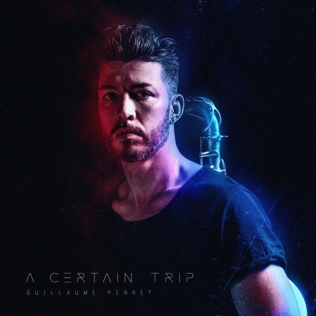 Couverture de A Certain Trip