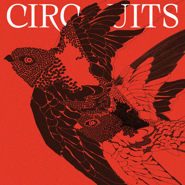 Couverture de Circuits