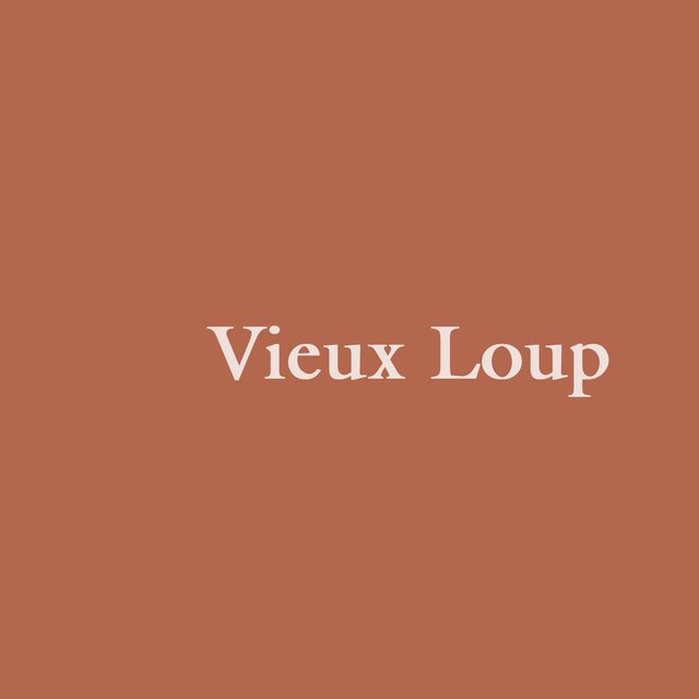 Couverture de Vieux loup