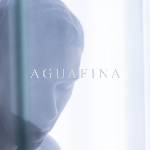 Couverture de Aguafina