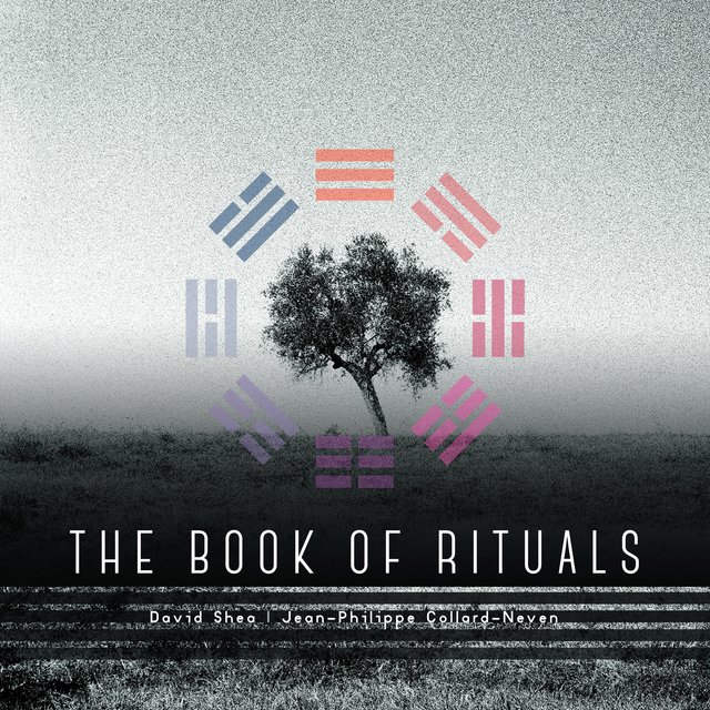 Couverture de The Book of Rituals