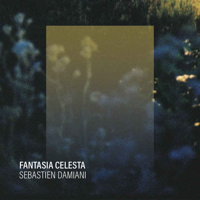 Couverture de Fantasia Celesta