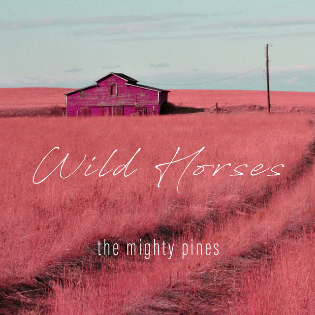 Couverture de Wild Horses