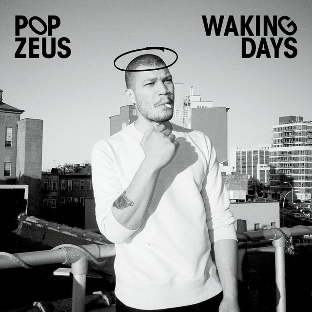 Couverture de Waking Days