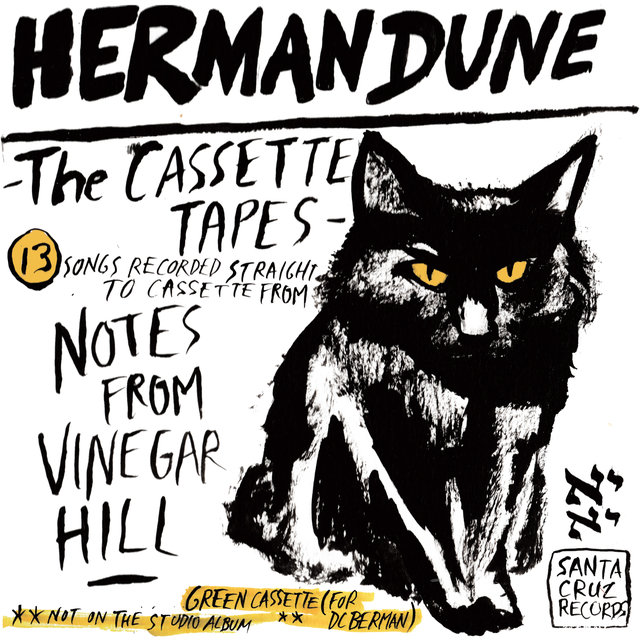 Couverture de The Cassette Tapes from Vinegar Hill