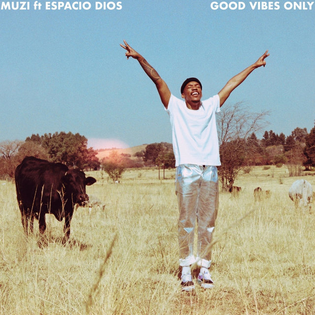 Couverture de Good Vibes Only