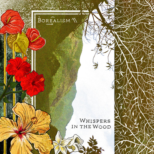 Couverture de Whispers in the Wood