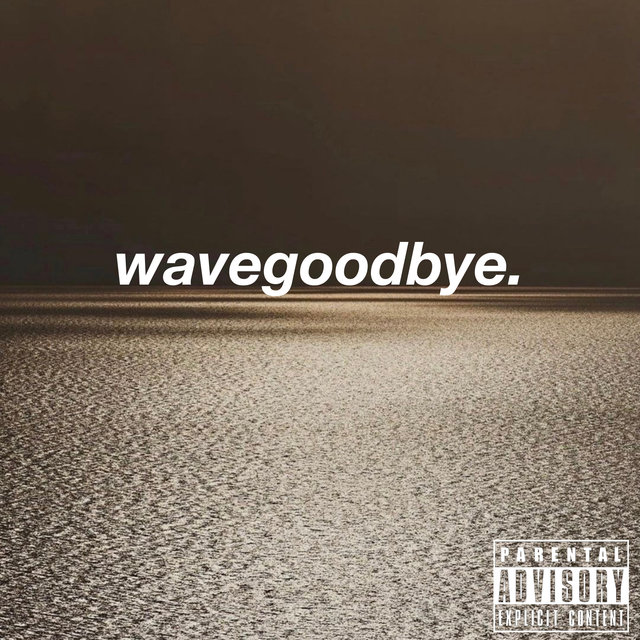 Couverture de Wave Goodbye