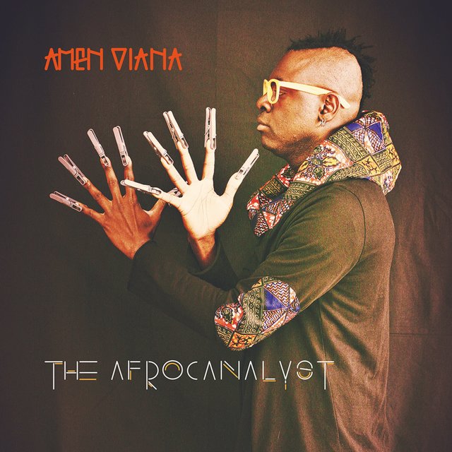 Couverture de The Afrocanalyst