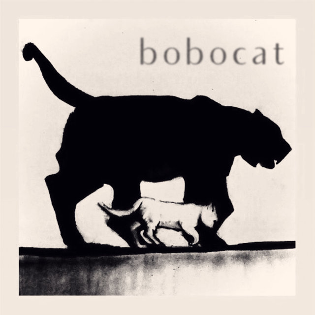 Couverture de bobocat