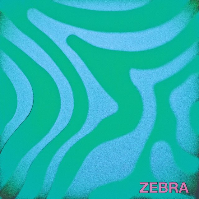 Couverture de Zebra