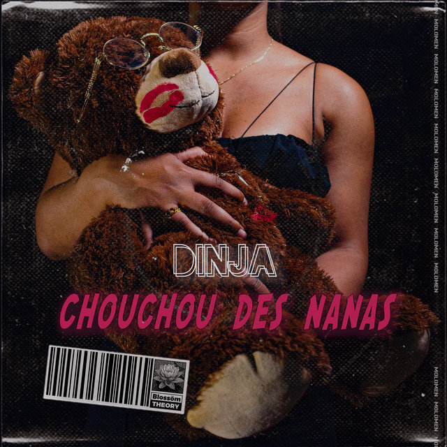 Couverture de Chouchou des nanas