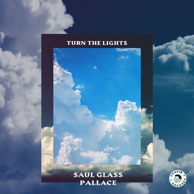 Couverture de Turn the lights