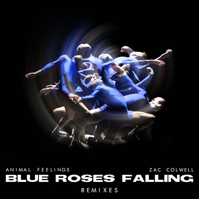 Blue Roses Falling