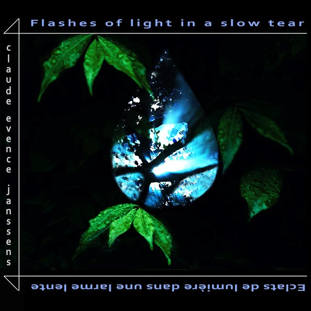 Couverture de Flashes of Light in a Slow Tear