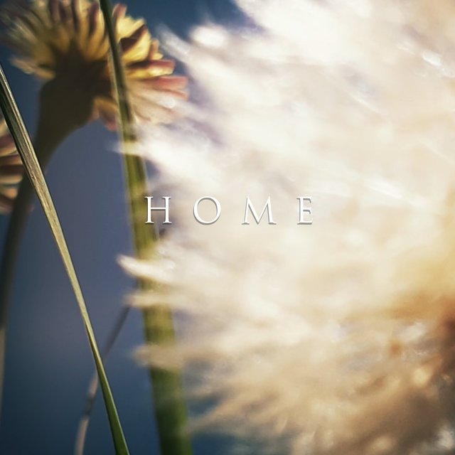 Couverture de Home